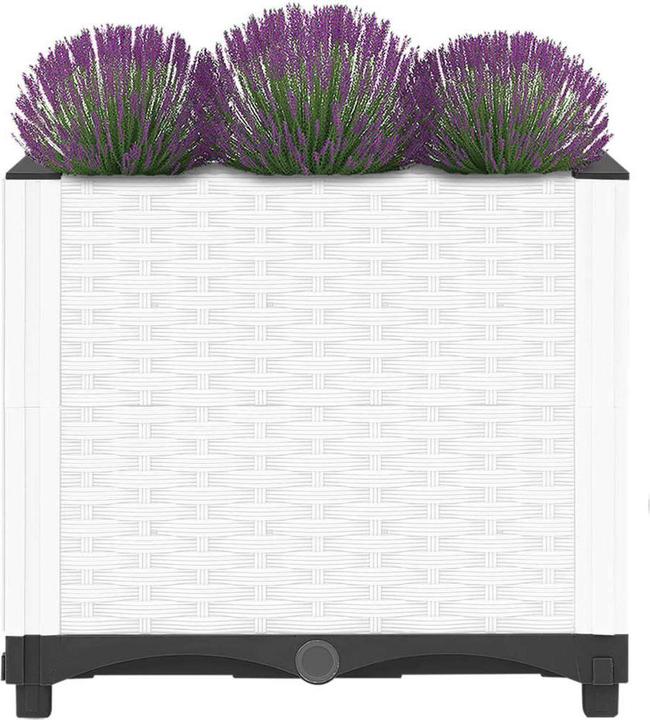 Image du produit VidaXL Birgid
