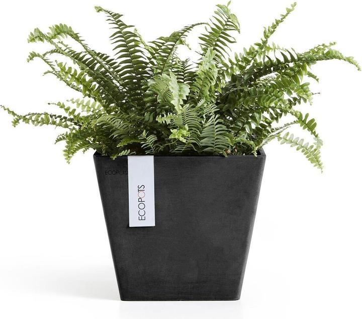 Actual product image Ecopots Rotterdam (30 cm)