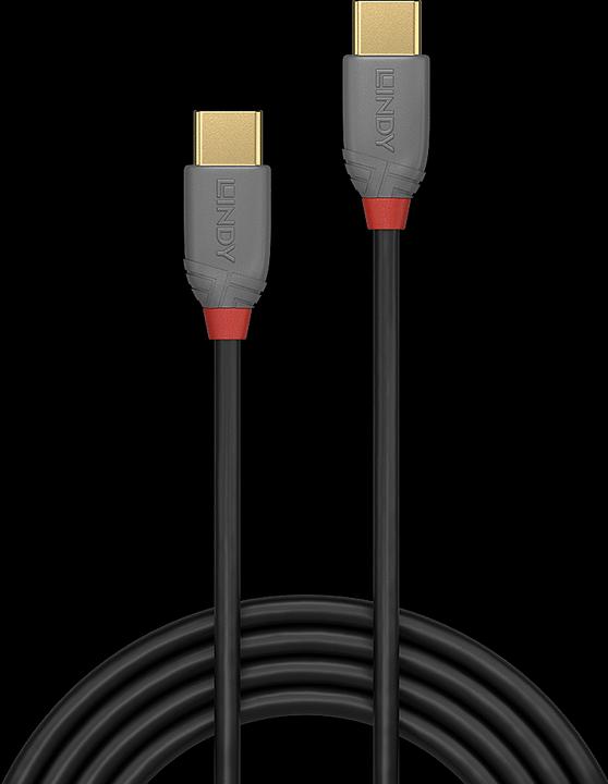 Actual product image Lindy Anthra Line (0.50 m, USB 2.0)