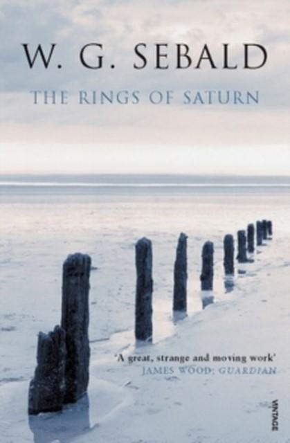 Produktbild The Rings of Saturn (Englisch, Michael Hulse, W. G. Sebald, 2002)