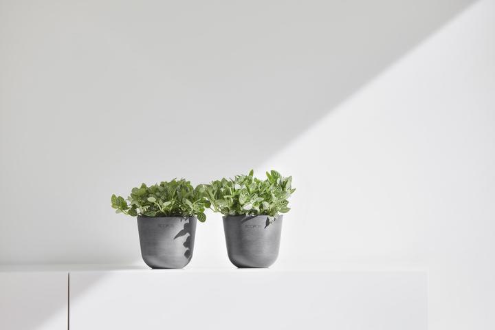 Actual product image Ecopots Oslo Mini (11.50 cm)