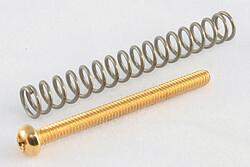 AllParts AP GS 0012-002 Screws for HB gold (4) (Instrument spare parts)