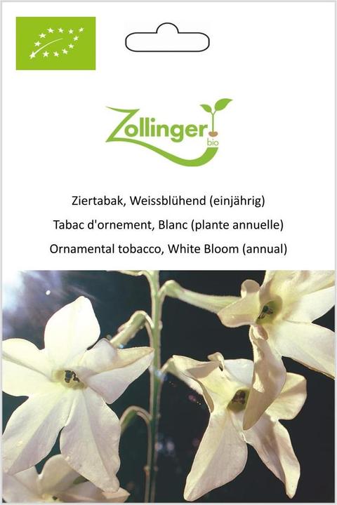 Immagine prodotto Zollinger Bio Tabacco ornamentale a fiore bianco (annuale) (Semi di piante)