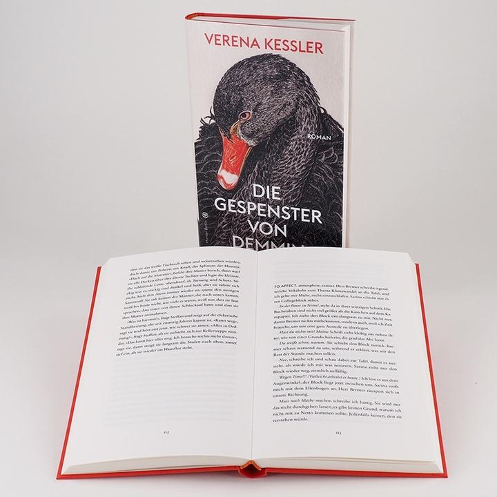 Actual product image Die Gespenster von Demmin (German, Verena Kessler, 2020)