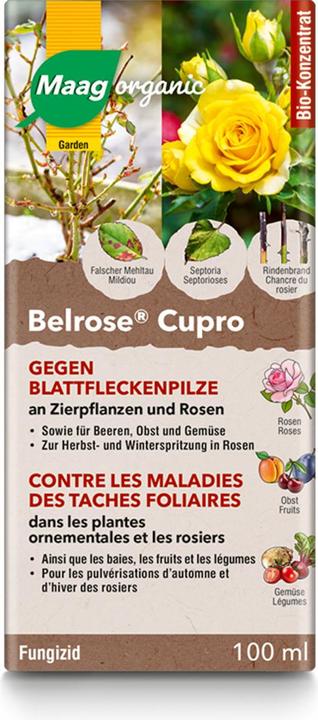 Immagine prodotto Maag Belrose Cupro liq