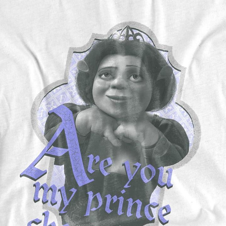 Produktbild Shrek Are You Prince Charming TShirt (4XL)