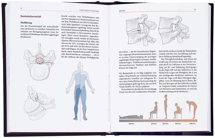 Actual product image Yoga-Therapie in der Praxis (German, Daniel, Bitta/Shepherd, Boerger, Judith (Dr.med.)/Helbig, 2023)
