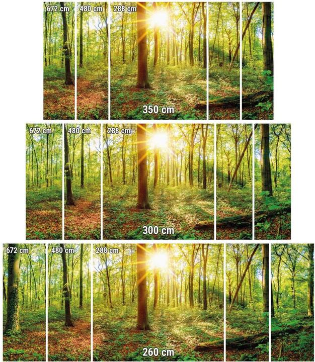 Produktbild Trenddeko Tief im Wald (480 x 260 cm)