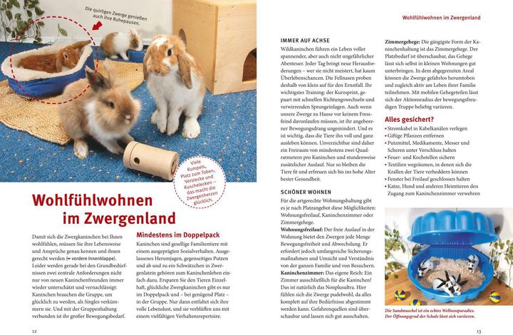 Produktbild Spiel- & Wohnideen Zwergkaninchen (Deutsch, Esther Schmidt, 2011)