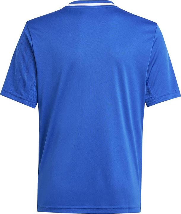 Immagine prodotto adidas Maglia Campeon 25 Bambini (152)