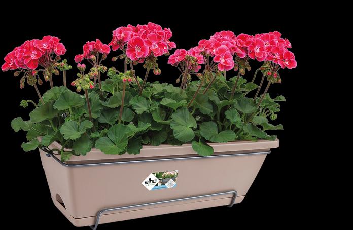 Produktbild Elho Barcelona Allin (28 cm)