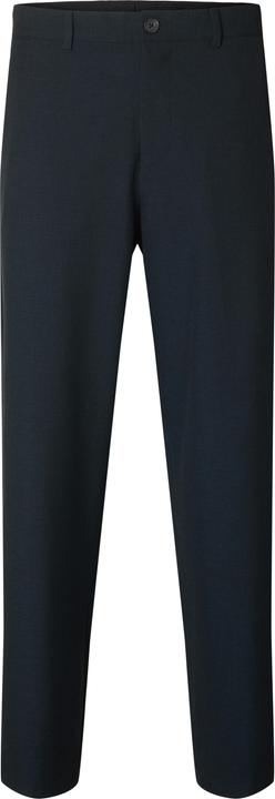 Actual product image Selected Homme Slh220-Loose Robert Flex Pant Noos (34)