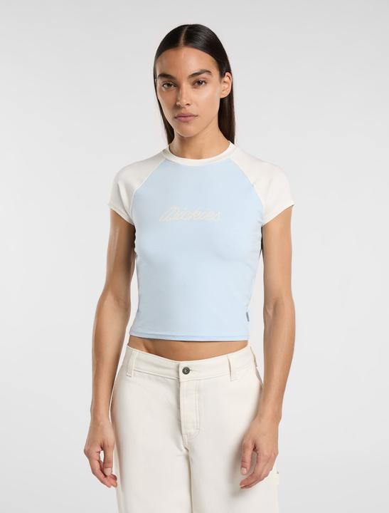 Actual product image Dickies Rope Ss Tee W Skyway (M)