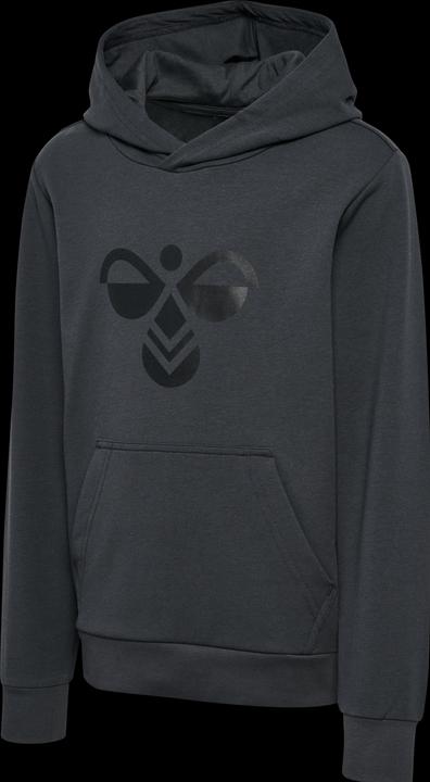 Actual product image hummel hmlCUATRO HOODIE (116)