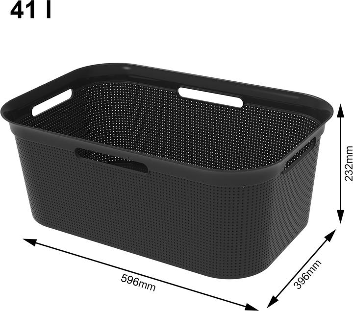 Actual product image Rotho Breezes (41 l)