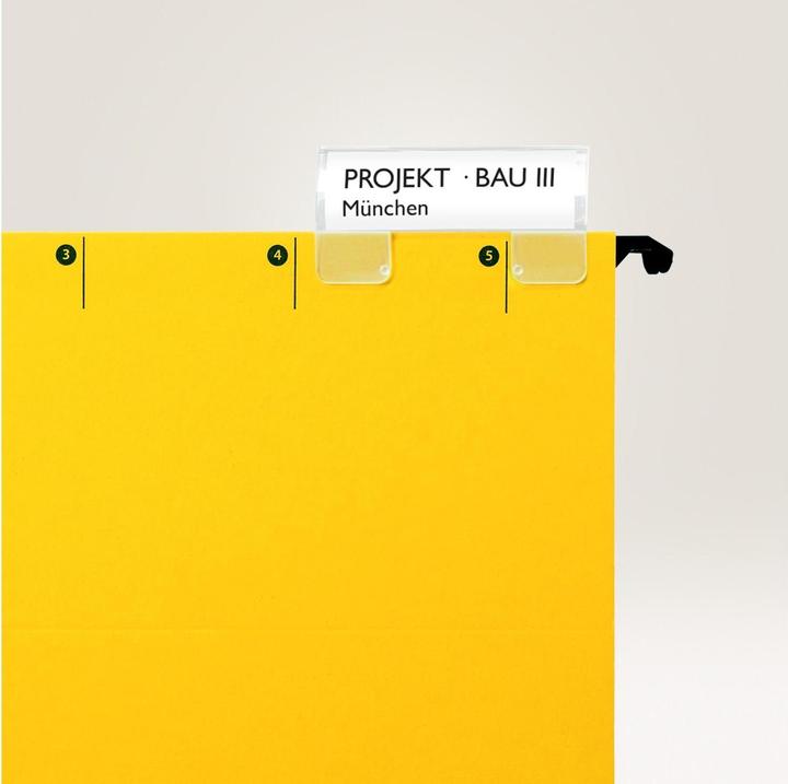 Actual product image Avery Visible tab labels