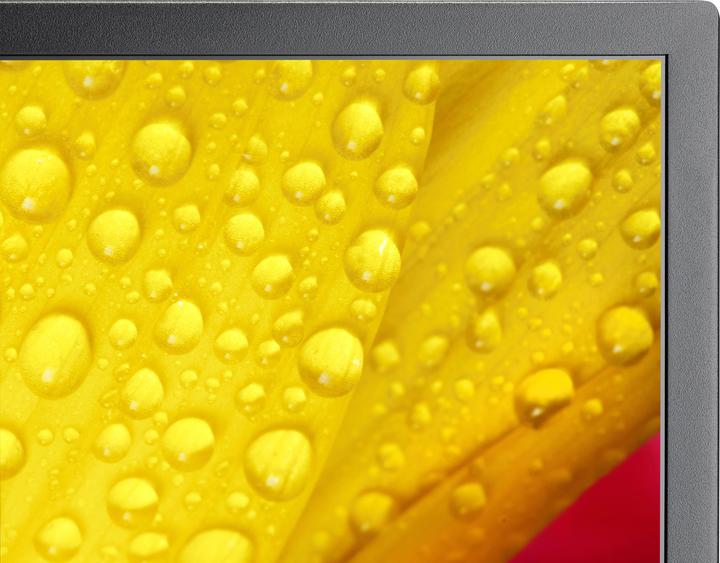 Productafbeelding Sharp M501-2 50IN UHD 500CD/SQM (3840 x 2160 Pixels, 50")