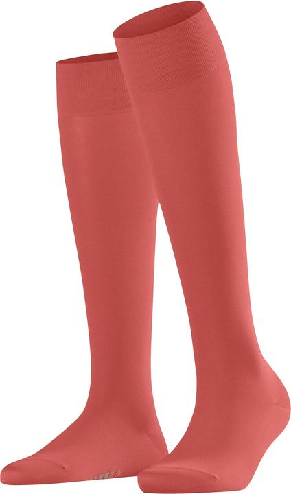 Produktbild Falke Kniestrümpfe (Einzelpack, 35 - 38)