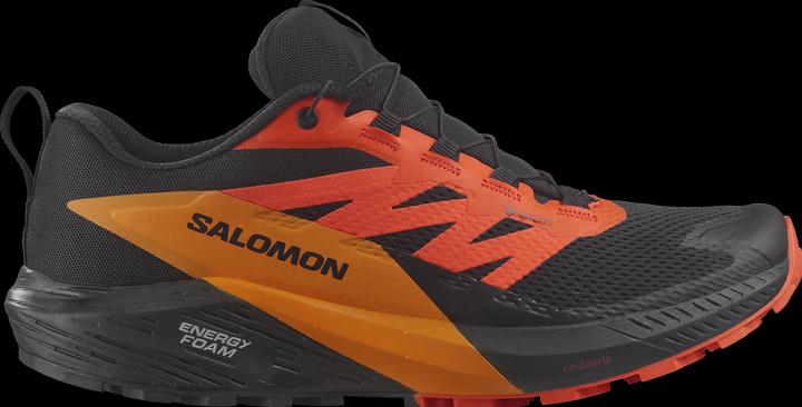 Salomon Scarpe da trail running da uomo Sense Ride 5 GTX (43)