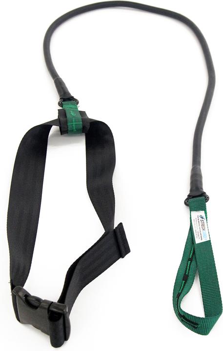 StrechCordz Aqua Gym Short Belt