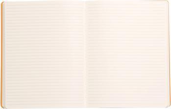 Image du produit Rhodia Carnets et cahiers Rhodiarama (19 x 25 cm, À rayures)