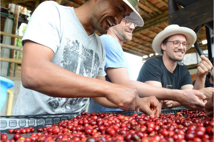 Produktbild Vicafe Los Nogales (350 g, Mittlere Röstung)