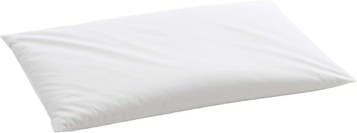 Produktbild Billerbeck Organic Hirsekissen (50 x 70 cm)