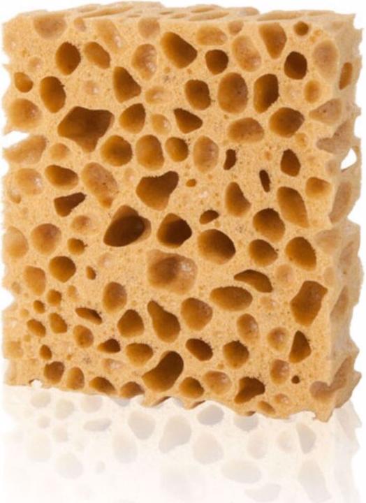 Pedag Schwamm (1 x)