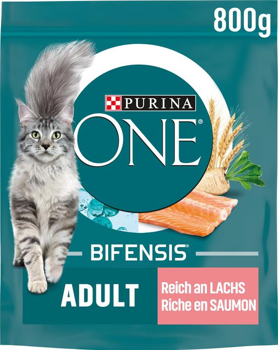 Purina ONE Lachs und Vollkorn (Adult, 1 Stk., 800 g)