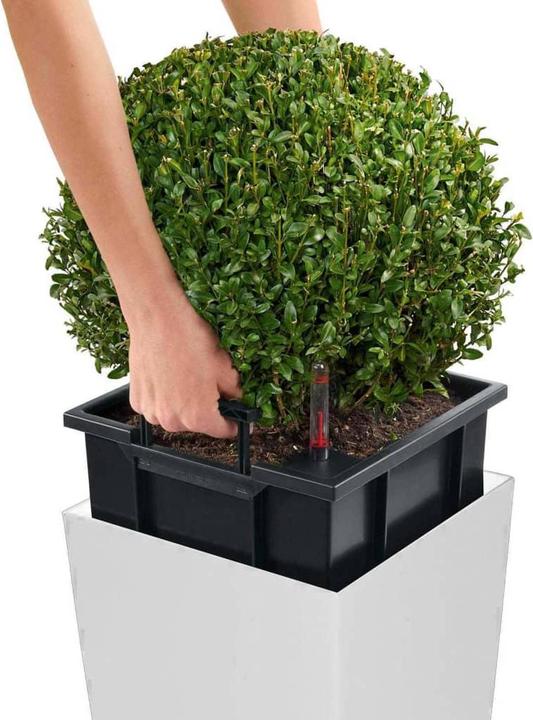 Produktbild Lechuza Cubico 30 (29.50 cm)