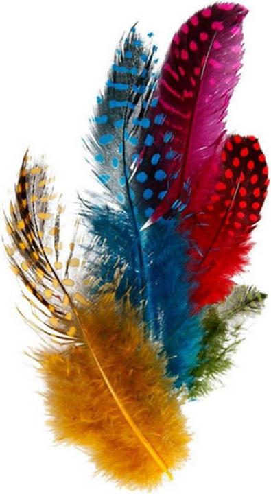 Actual product image Creativ Company Guinea fowl feathers assortment