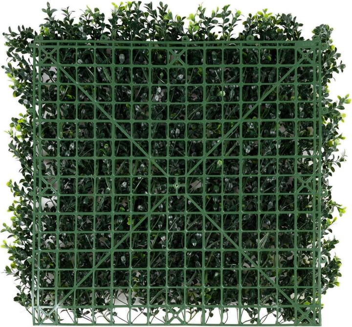 Produktbild Karat Boxwood Pflanzenwand (50 cm)
