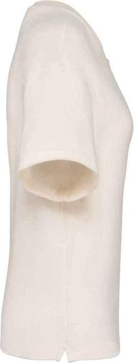 Actual product image Native Spirit Womens/Ladies Terrycloth T-Shirt (XL)