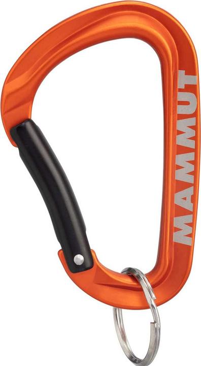 Mammut Mini Carabiner Workhorse Keylock L