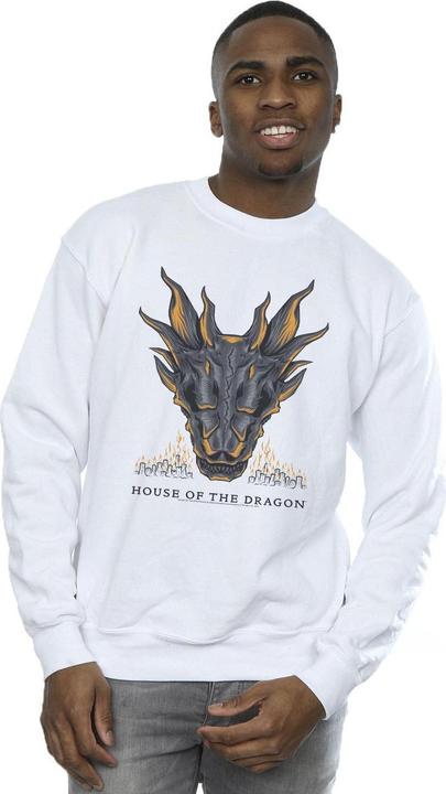 Image du produit Game of Thrones - Sweat DRAGON FLAMES - Homme (XXL)