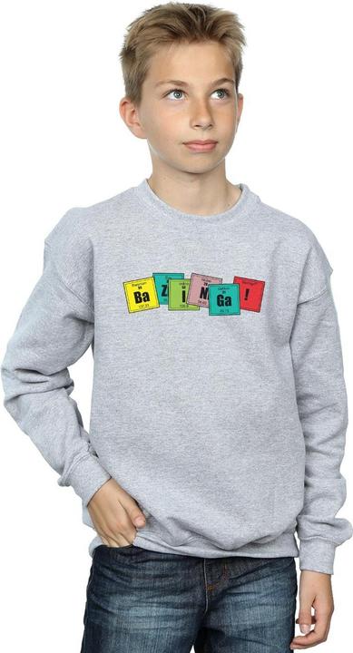 Actual product image Dam Boys Bazinga Elements Sweatshirt (152, 158)