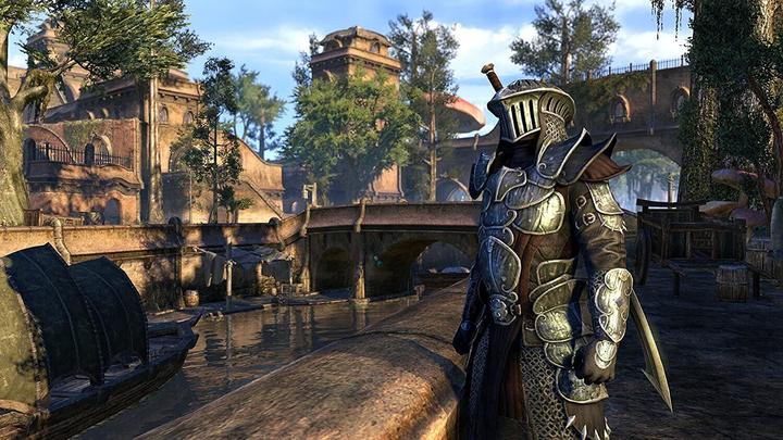Immagine prodotto Bethesda Elder Scrolls Online (incluso Morrowind) (PS4)