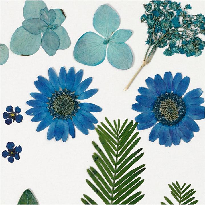 Actual product image Creativ Company Pressed flowers (2 x 15 x 20 cm)