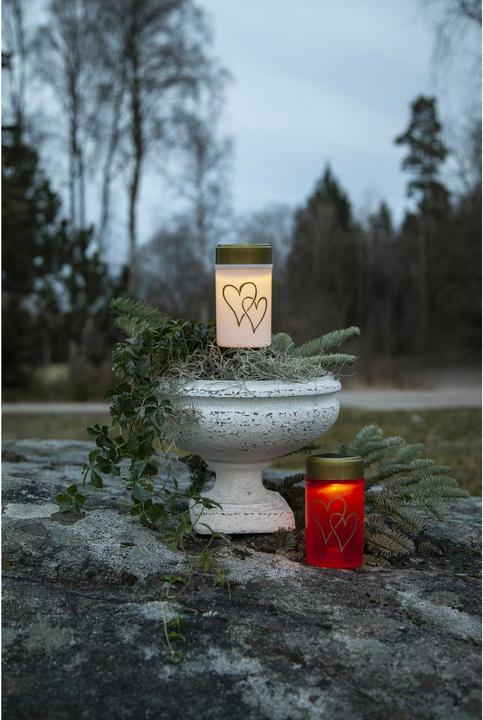 Actual product image Star Trading Hearty (1 x)