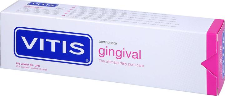 Actual product image Vitis gingival zanpasta (100 ml)