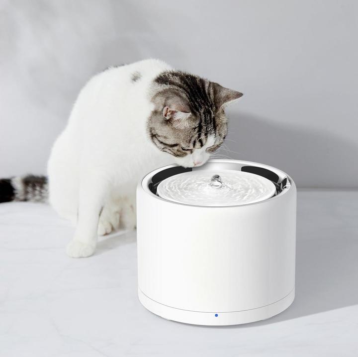 Actual product image Petkit Eversweet 3 (1.80 l)