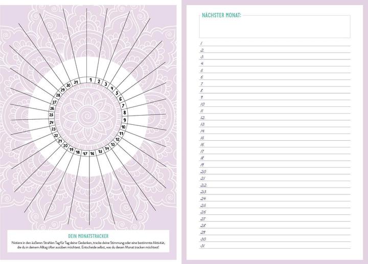 Immagine prodotto Taccuino Bullet Journal Mandala 21,6 x 15,3 cm (21,6 x 15,3 cm, Nessuna, Copertina rigida)