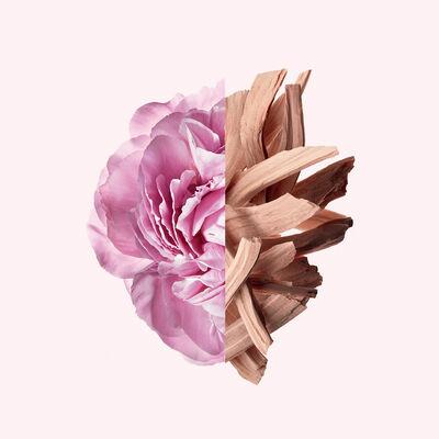 Image du produit Givenchy Irrésistible (Eau de toilette, 35 ml)