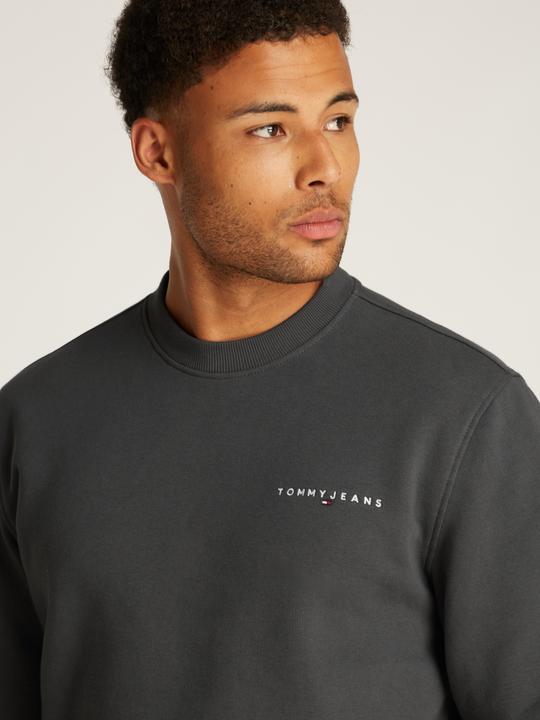 Image du produit Tommy Jeans Tjm Reg Linear Crew Ext (M)
