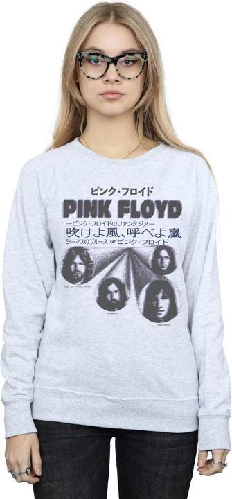 Actual product image Pink Floyd Womens/Ladies Japanese Cover Sweatshirt (XXL)