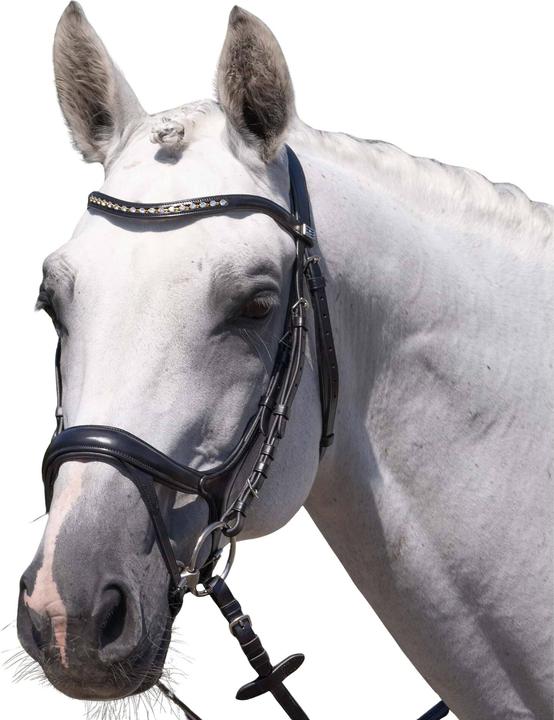 Image du produit Premier Equine Palazzo