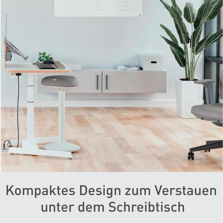 Produktbild Leitz Ergo Active