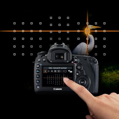 Actual product image Canon EOS 5D Mark IV - (EU) (30.40 Mpx, Full frame)