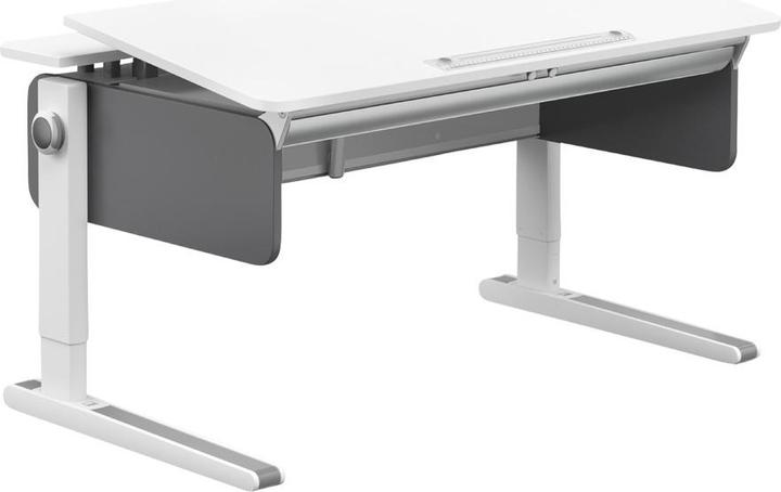 Moll Champion Front Up (120 x 53 cm)