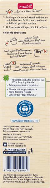 Produktbild dm Profissimo nature Geschenkanhänger "3 Formen" (Geschenkband)